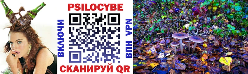 Псилоцибиновые грибы Magic Shrooms  Нахабино 